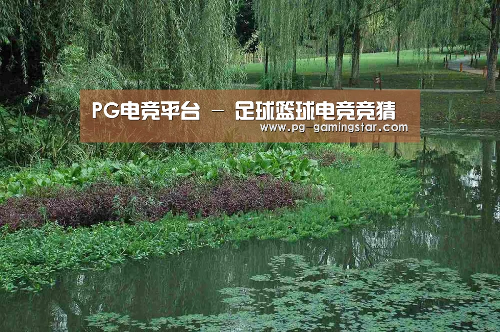案例展示一(图1)