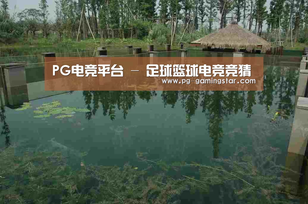 案例展示二(图1)