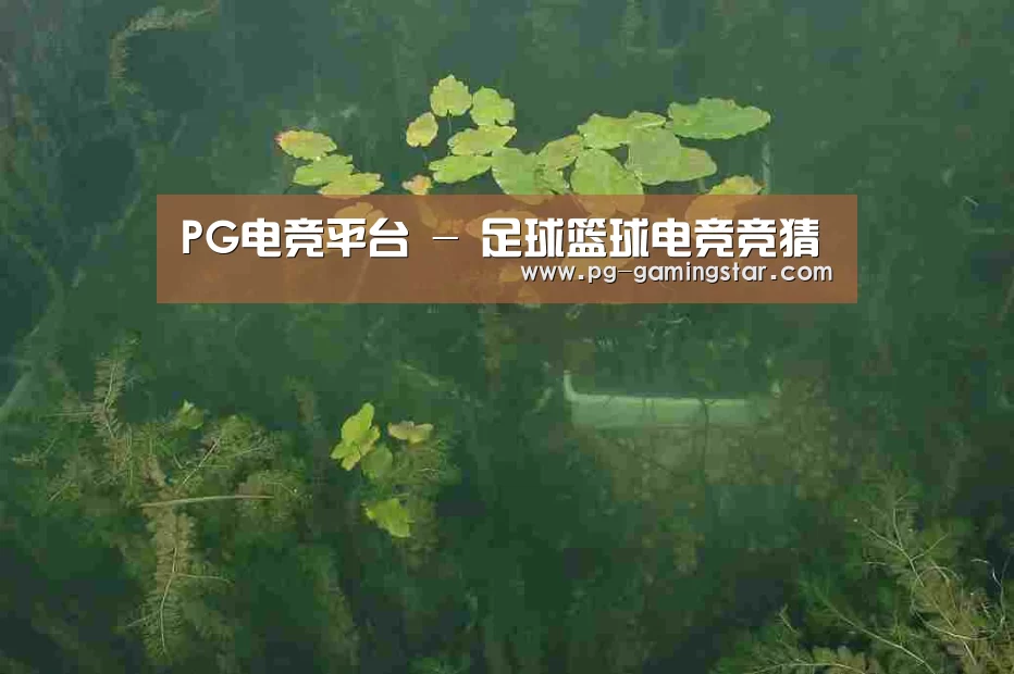 案例展示三(图1)