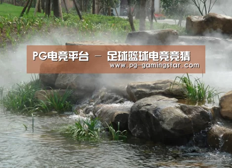 案例展示五(图1)
