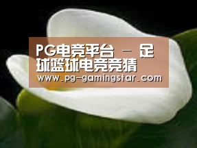 产品名称七