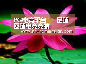 产品名称五
