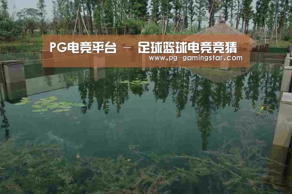 案例展示二