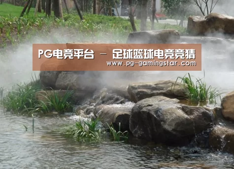 案例展示五