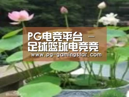 产品名称一