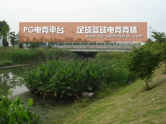 案例展示四