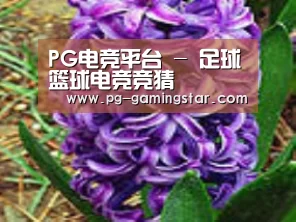 产品名称八