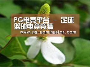 产品名称三