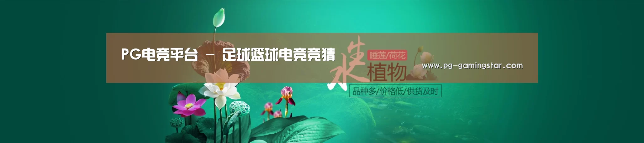 鲜花水草花卉网站模板