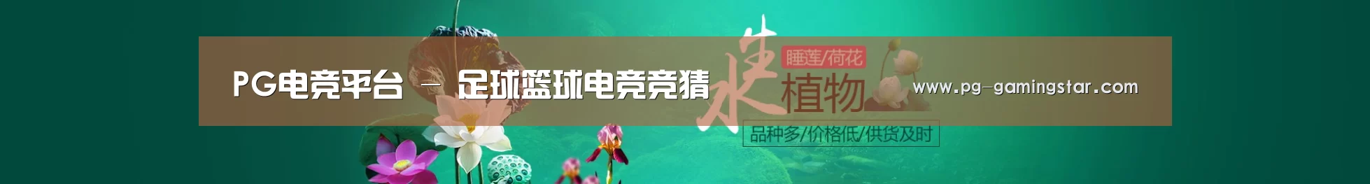 鲜花水草花卉网站模板