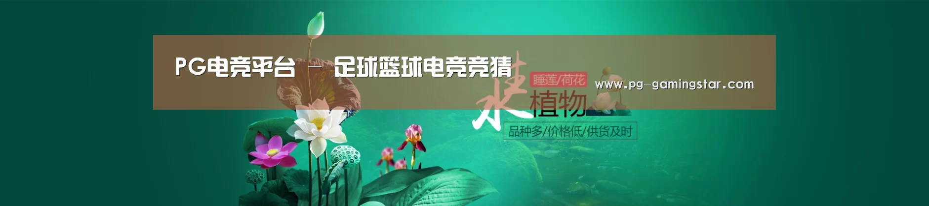 鲜花水草花卉网站模板