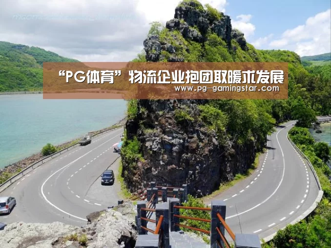 “PG体育”物流企业抱团取暖求发展(图1) PG体育
