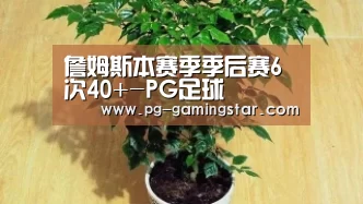詹姆斯本赛季季后赛6次40+-PG足球(图4) PG足球