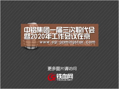 中铝集团一届三次职代会暨2020年工作会议在京召开-PG体育(图1) PG足球