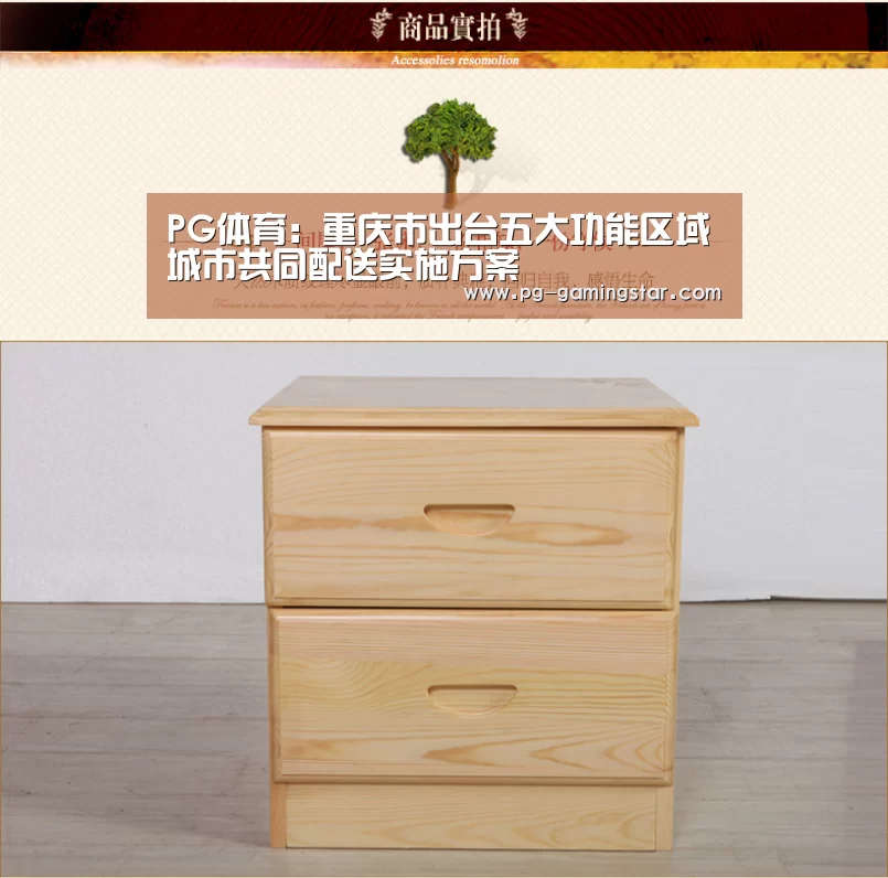 PG体育:重庆市出台五大功能区域城市共同配送实施方案(图1) PG足球
