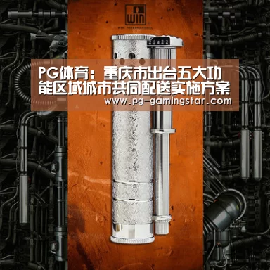 PG体育:重庆市出台五大功能区域城市共同配送实施方案(图3) PG足球